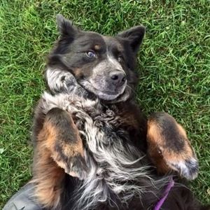 Meet your Posher, Nora